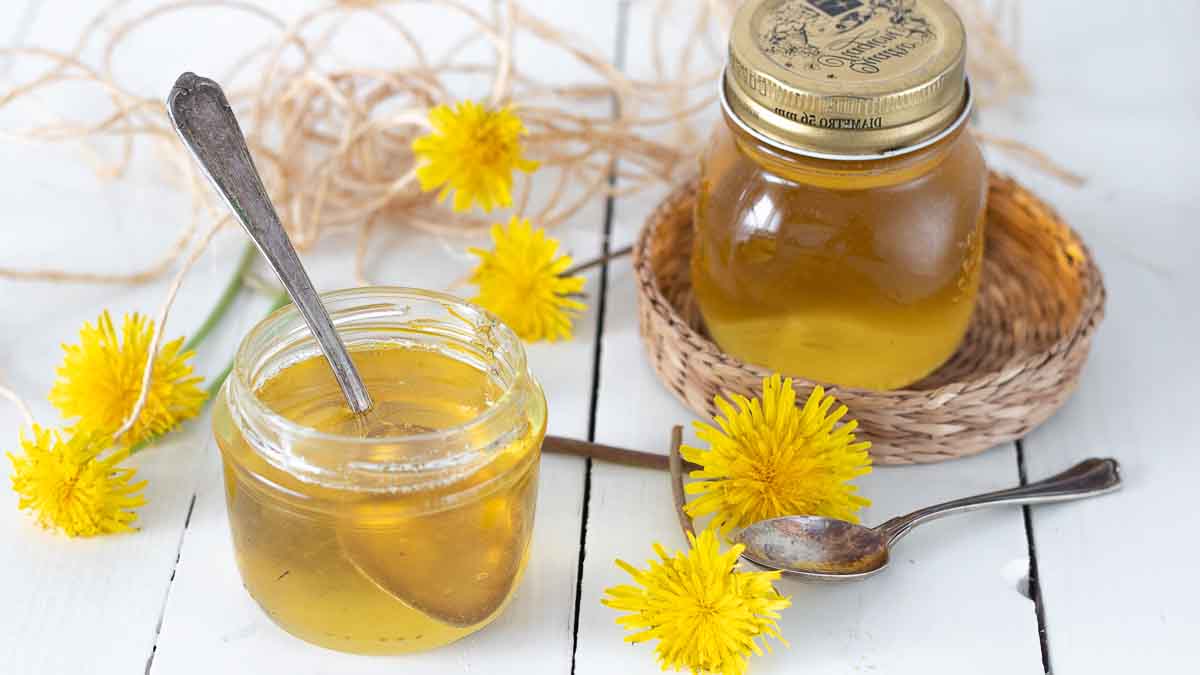 Préparation d’un faux miel de pissenlit végétalien, simple et efficace
