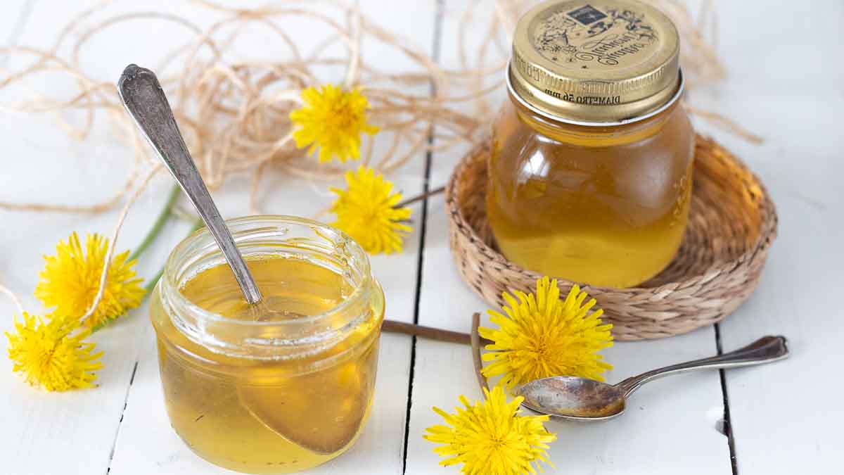 Recette d’un délicieux miel de pissenlit végétalien, simple et bénéfique