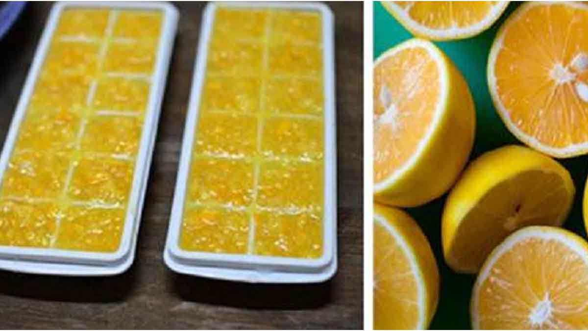 congeler vos citrons